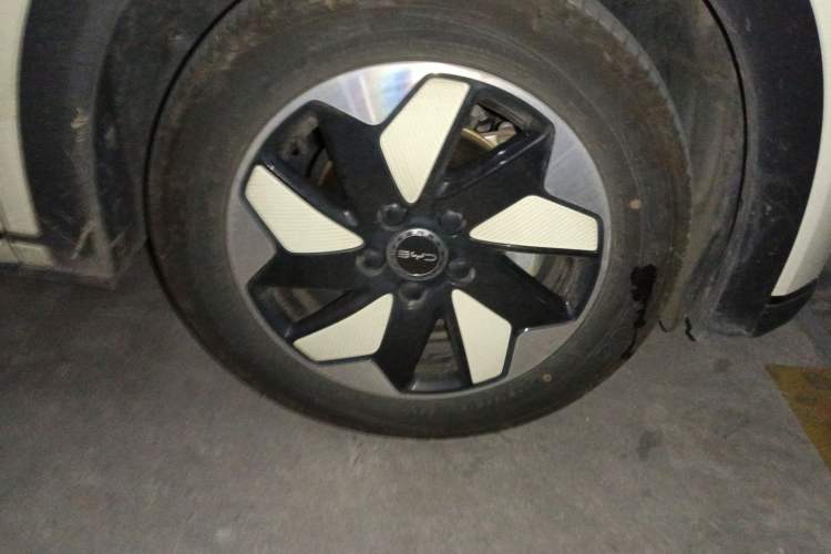 Used BYD Dolphin 2024 Honor Edition 420km Fashion Version