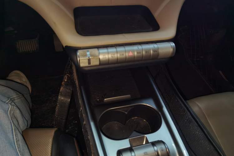 Used BYD Dolphin 2023 420 km Free Version Gear Lever