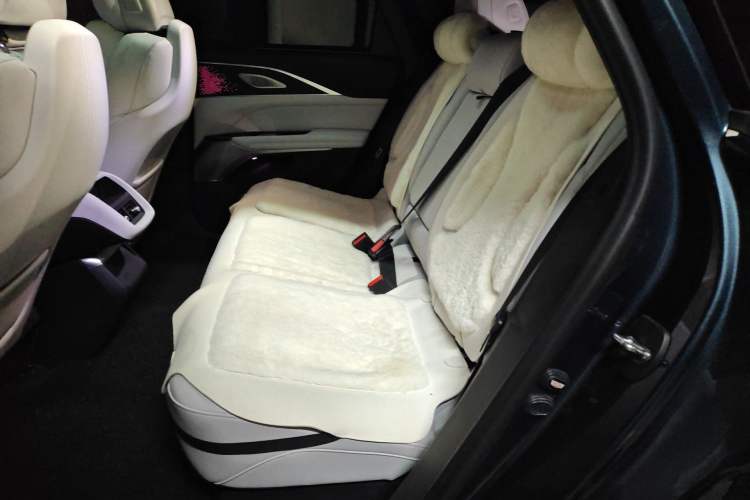 Used Cadillac LYRIQ 2022 Rear-Drive Long-Range Luxury Edition Left Rear Seat