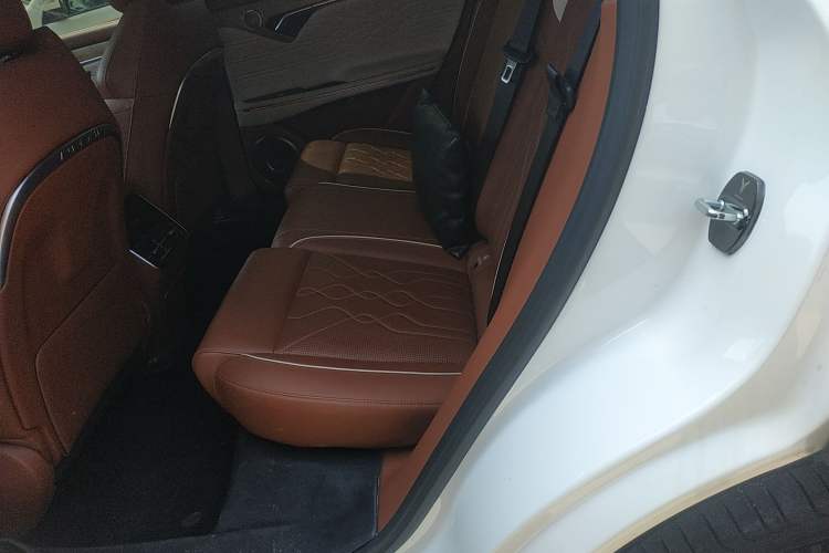 Used VOYAH FREE 2024 Ultra-Long Range Intelligent Driving Version Left Rear Seat