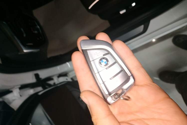 Used BMW 5 Series 2019 530Li xDrive Luxury Package
