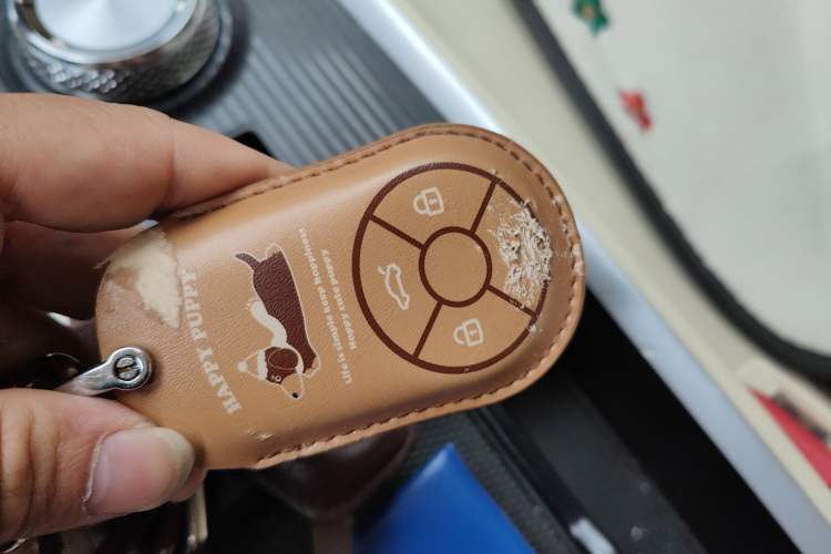 Used ORA Good Cat 2022 Morandi Edition 400km Standard Range Luxury Version Lithium-Ion Battery
