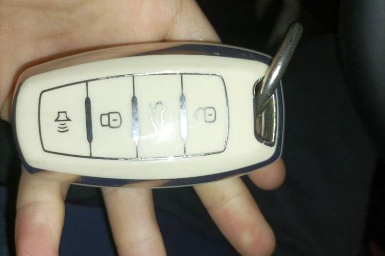 Used Haval DARGO 2024 1.5T DCT Labrador Edition