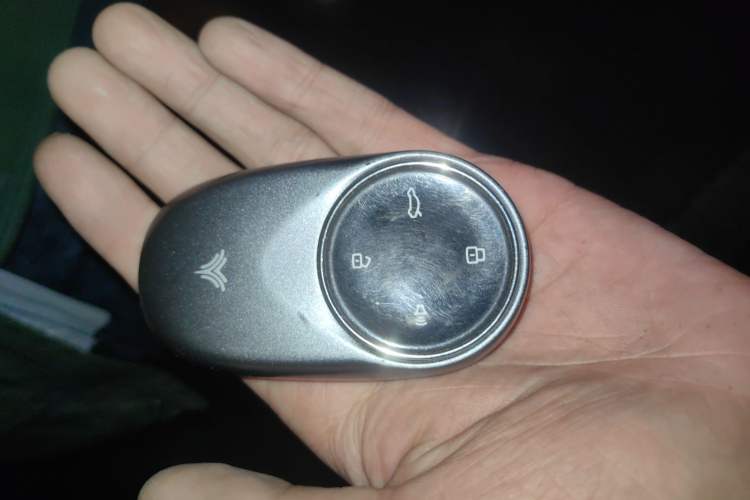 Used NETA U 2022 NETA U-Ⅱ 500 Lithium Iron Phosphate Vehicle Key