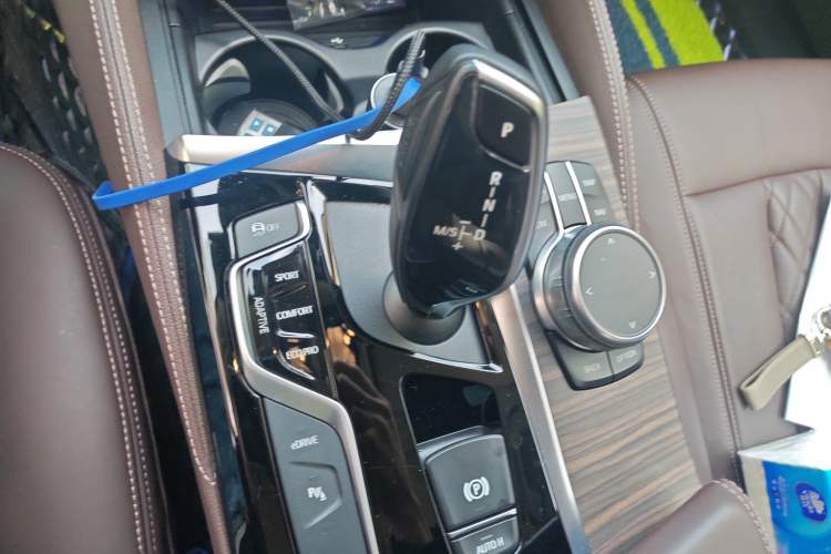 Used BMW 5 Series New Energy 2019 530Le Luxury Package Gear Lever