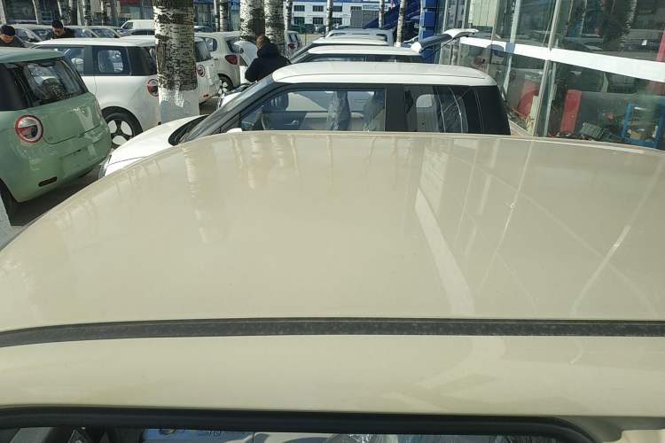 Used Qiyuan Lumin 2025 205 km Xiangqin Version
