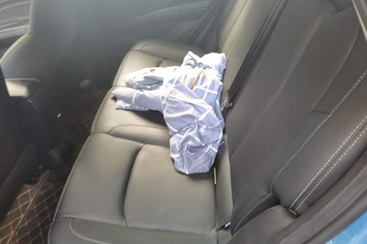 Used NETA V 2022 Chao 300 Lite Lithium Iron Phosphate
