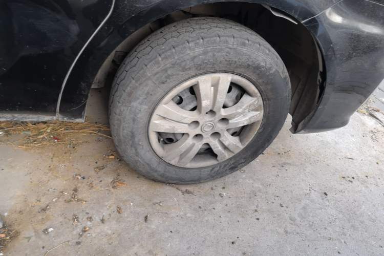 Used FORTHING Lingzhi 
