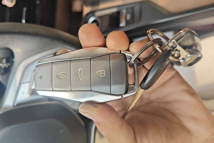 Used SOL E10X 2022 Flower Fairy Design Four-Leaf Clover