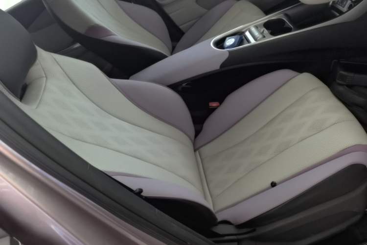 Used BYD Dolphin 2023 420 km Free Version Right Front Seat