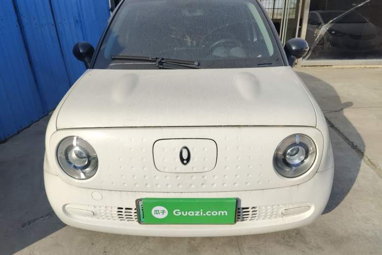 Used ORA Black Cat 2022 351 km Standard Version Ternary Lithium
