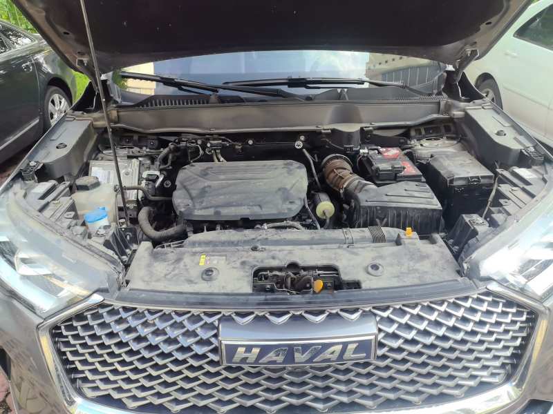 Used Haval H6 2022 3rd Generation 1.5T Automatic Two-Wheel Drive Pro — 10