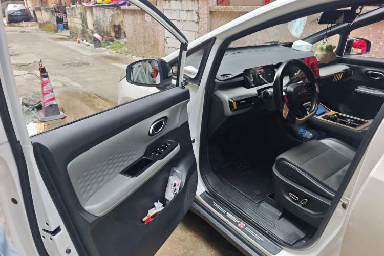 Used AION Y 2022 70 Enjoyment Edition Lithium Iron Phosphate
