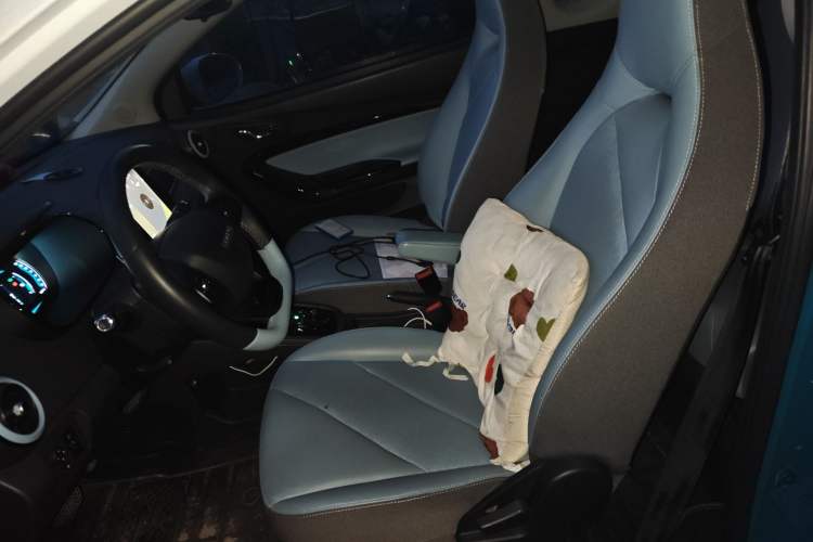 Used Chery QQ Little Ant 2022 Sweet Pink Edition Low-Sugar Version 30kW 301km Range
