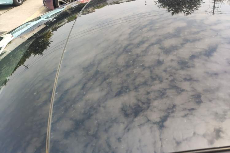 Used Tesla Model 3 2020 Standard Range Rear-Wheel Drive Upgraded Version Roof