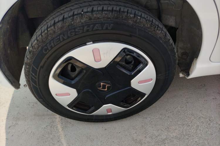 Used SOL E10X 2022 Flower Fairy Design Dandelion