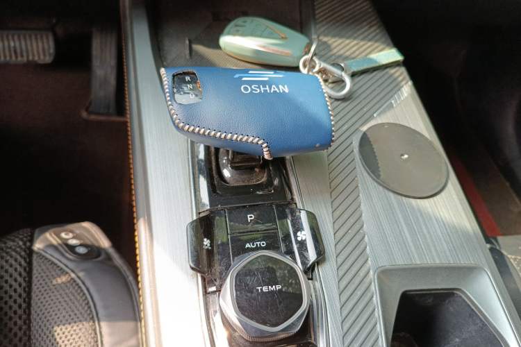 Used Oshan Z6 New Energy 2023 ZhiDian iDD 150KM Flagship PLUS Smart Parking Edition
