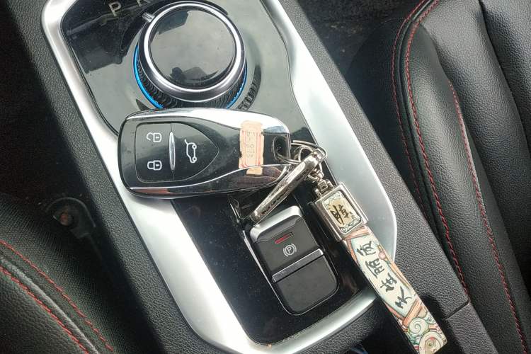 Used Dayun Yuehu 2021 32.85 kWh Two-Wheel-Drive Sprite Version