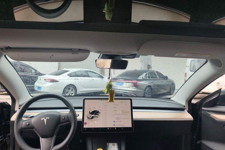 Used Tesla Model 3 2022 Rear-Wheel-Drive Version