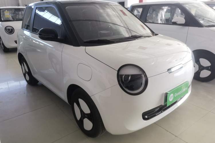 Used Qiyuan Lumin 2023 205km Xiangqin Version
