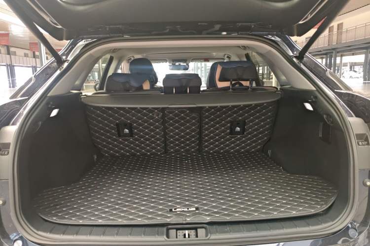 Used Lexus RX 2020 Revised Version 300 Two-Wheel Drive Elite Edition