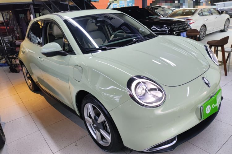 Used ORA Good Cat 2022 Morandi Edition 400km Standard Range Premium Version Lithium Iron Phosphate
