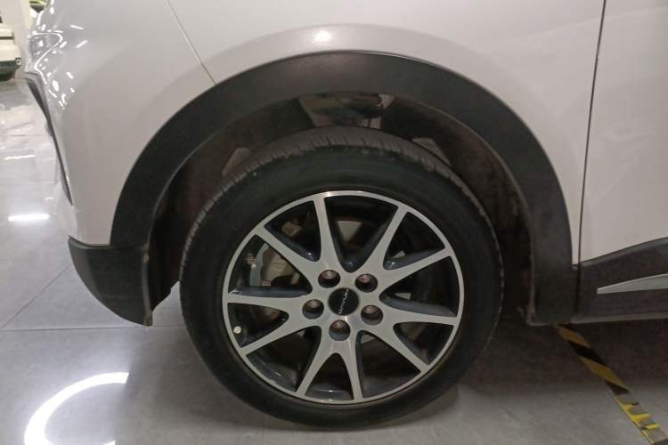 Used Dayun Yuehu 2021 32.85 kWh Two-Wheel-Drive Sprite Version
