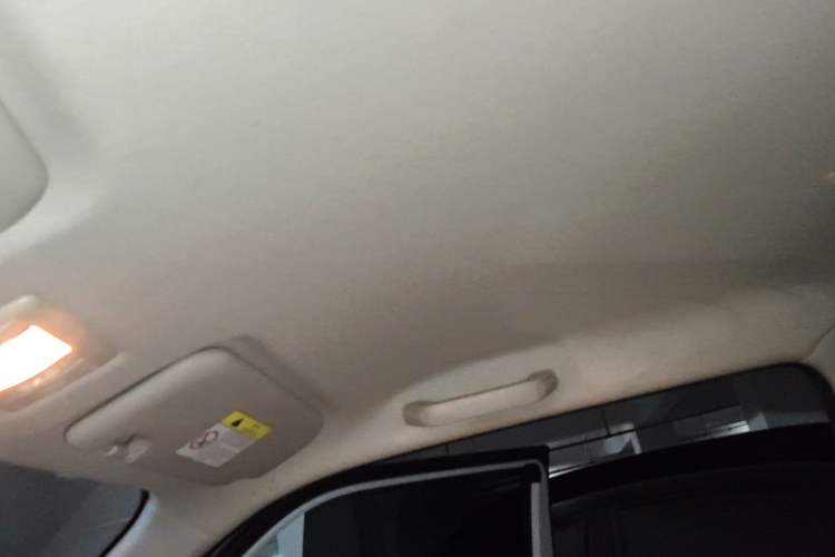 Used Qiyuan Lumin 2023 205km Xiangqin Version