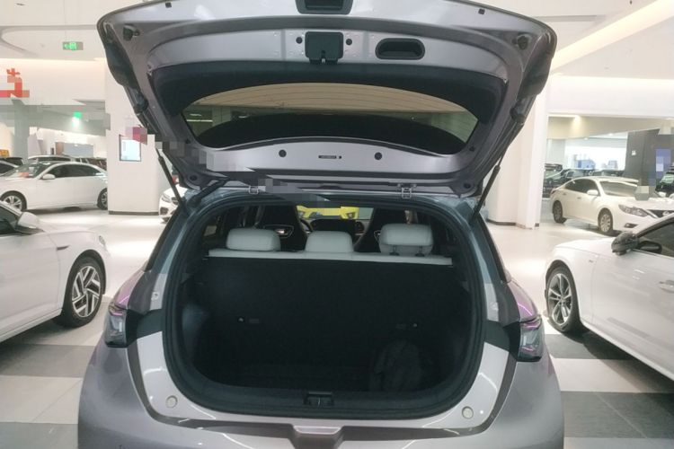 Used BYD Dolphin 2021 401km Knight Edition