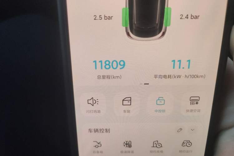 Used Geometry E Firefly 2024 401 km Fluorescent
