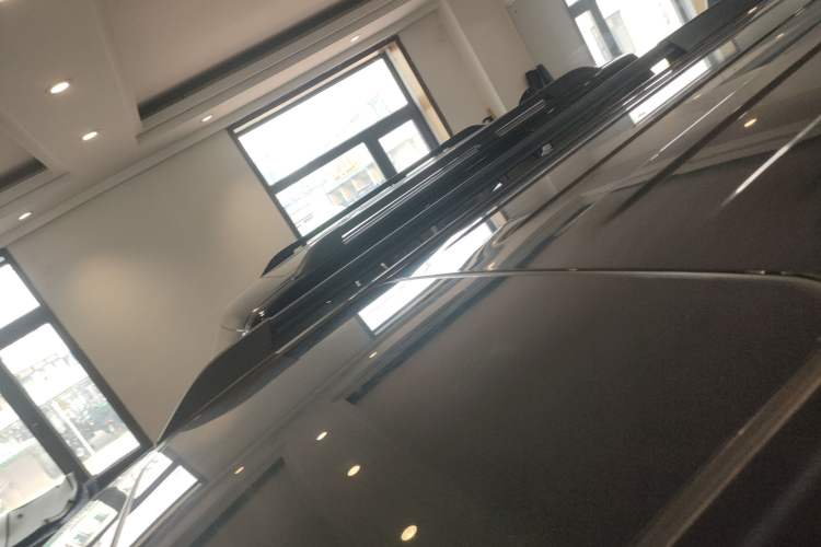 Used Tank 300 2024 2.0T Conqueror