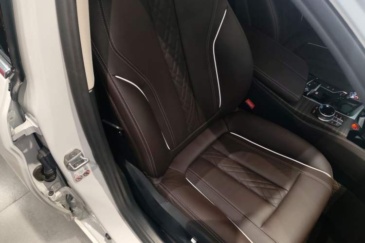 Used BMW 5 Series New Energy 2019 Updated Version 530Le Luxury Package Right Front Seat