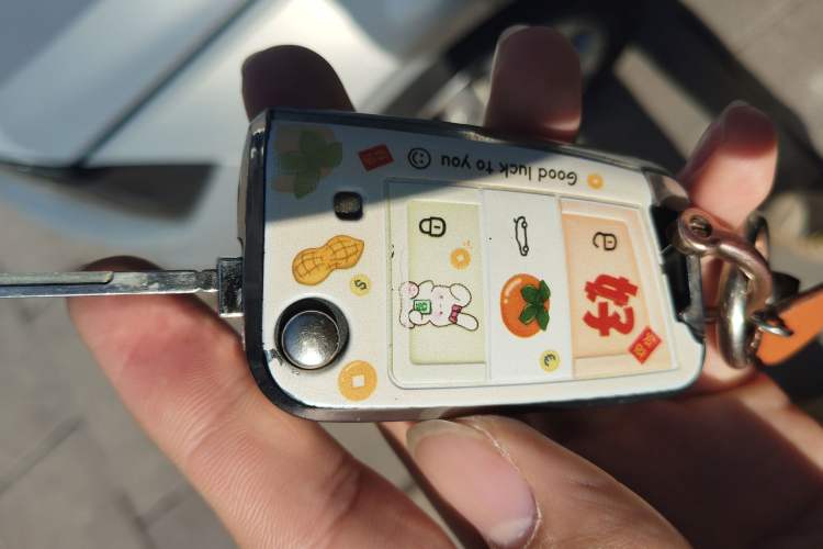 Used Volkswagen Polo 2019 Plus 1.5L Automatic Colorful Technology Edition