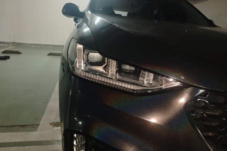 Used Wey VV6 2019 2.0T Two-Wheel-Drive Flagship Version China VI Standard