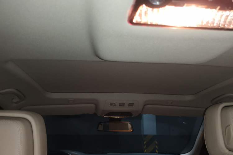 Used BMW 5 Series 2013 525Li Leading Model Headliner