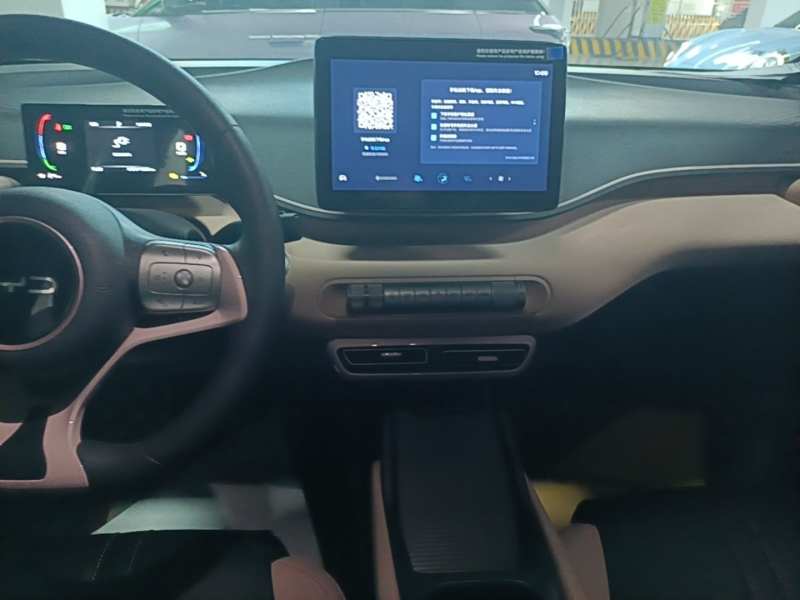 Used BYD Seagull 2024 Honor Edition 305km Dynamic Version — 12