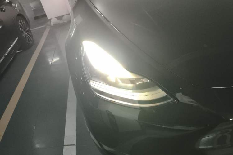 Used Tesla Model Y 2021 Standard Range Rear-Wheel Drive Version