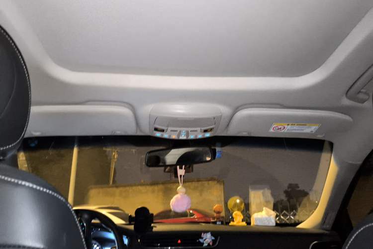 Used Ford Taurus 2017 EcoBoost 245 Luxury Model Headliner