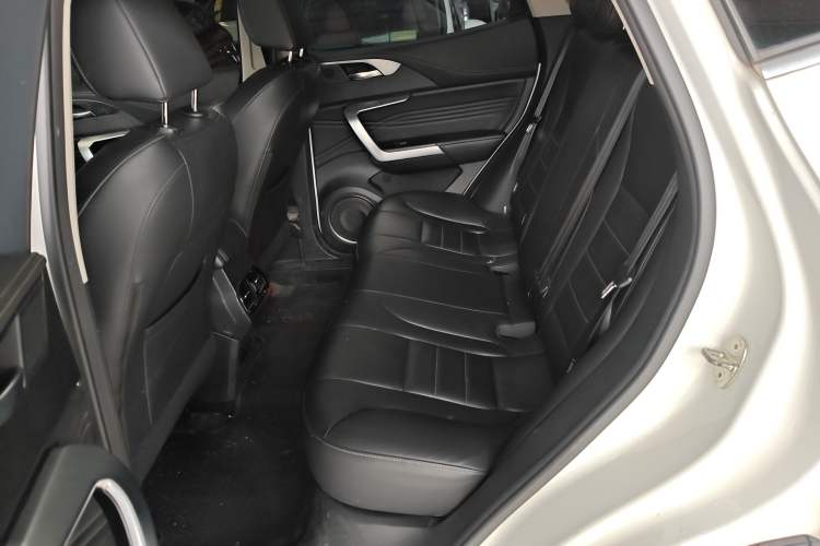 Used Wey VV5 2020 1.5T Two-Wheel Drive Color Pioneer Left Rear Seat