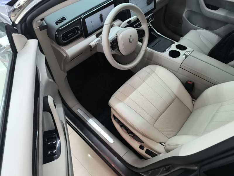 Used Leapmotor C11 2021 Luxury Edition — 15