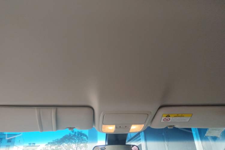 Used Honda Odyssey 2019 2.0L Rui-Changxiang Edition