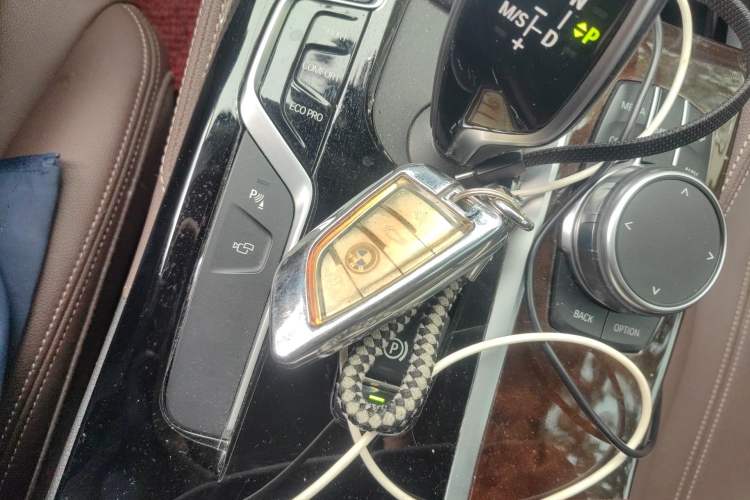 Used BMW 5 Series 2019 525Li Luxury Package Vehicle Key