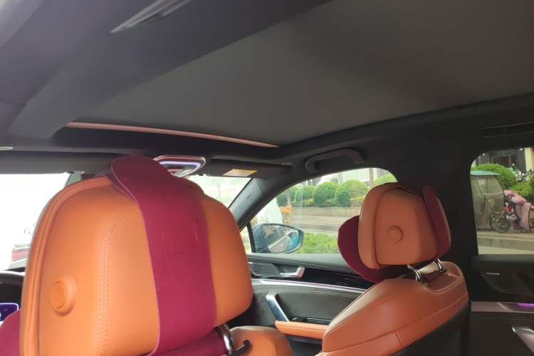 Used BYD Tang New Energy 2022 DM-p 215 km All-Wheel-Drive Deluxe Model Headliner