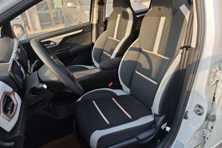 Used SOL E10X 2022 Flower Fairy Design Dandelion