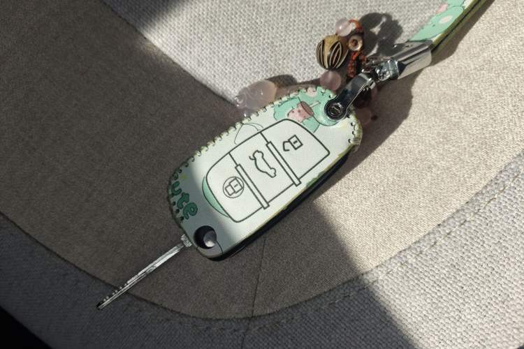 Used LINGBOX COCO 2021 Alliance Pro Edition
