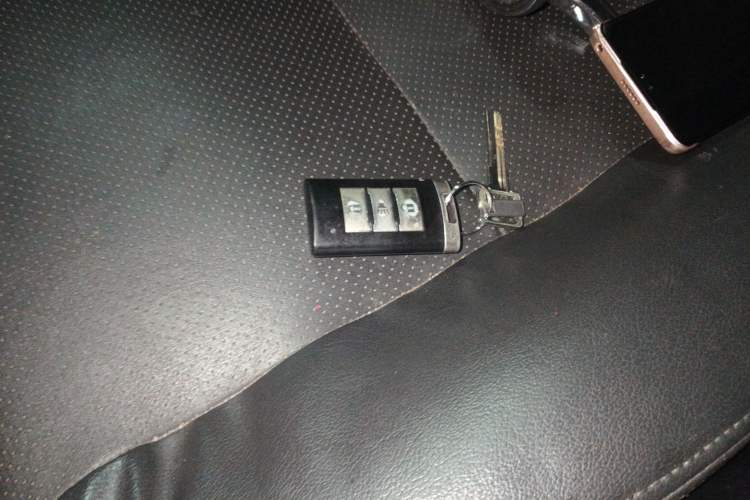 Used Foton Savana 2017 2.0T Manual 4x4 Gasoline Luxury Edition 5 Seats