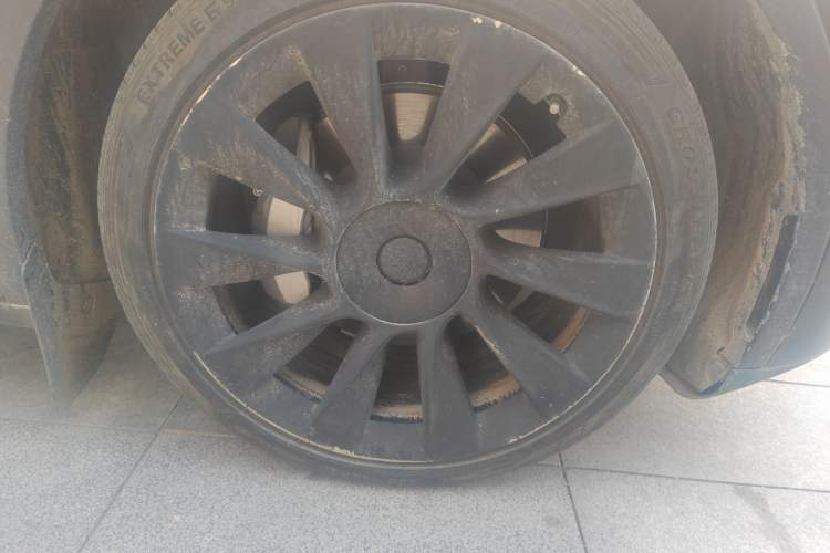 Used Tesla Model Y 2021 Standard Range Rear-Wheel Drive Version
