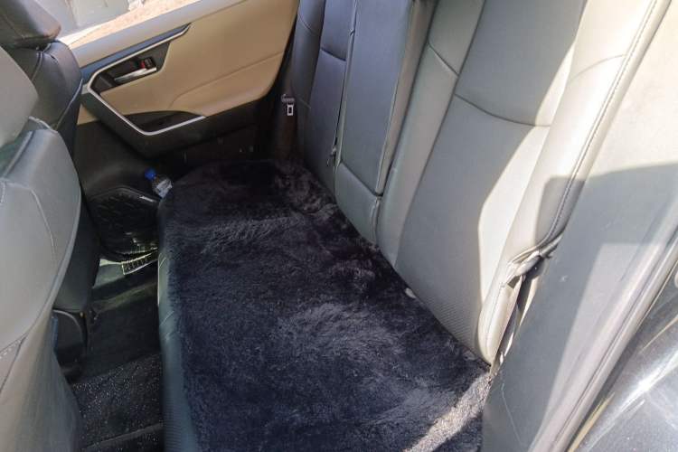 Used Toyota RAV4 2020 Dual-Engine 2.5L E-CVT Four-Wheel Drive Elite Edition Left Rear Seat