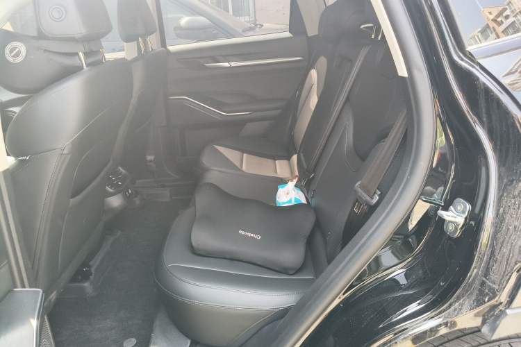 Used Haval H6 2024 1.5T Two-Wheel Drive Max