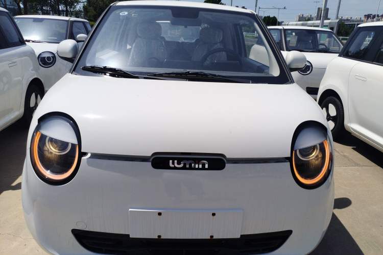 Used CHANGAN Lumin 2023 205km Xiangqin Version Exterior 1